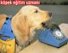 KÖPEK EĞİTİM UZMANI