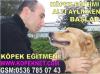 KÖPEK EĞİTİM UZMANI