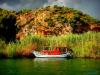 MUĞLA DALYAN DA GÜNLÜK VE HAFTALIK KİRALIK YAZLIK